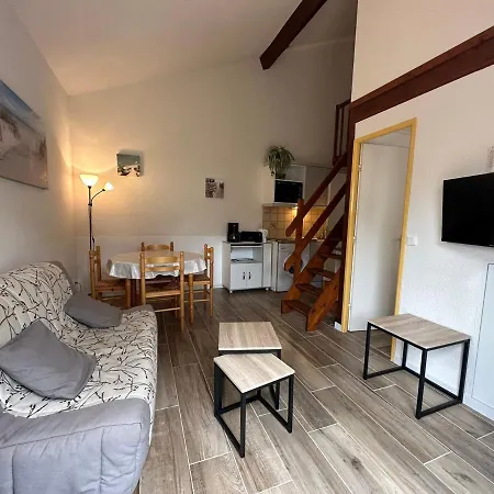 Maisonnette T2 + Mezzanine Avec Piscine Et Terrasse Proche Plage Et La Palmyre - Fr-1-550-50 Lägenhet *